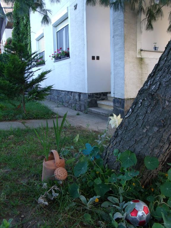 Viola Vendeghaz Διαμέρισμα Kehidakustány Εξωτερικό φωτογραφία